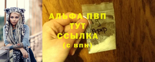 прущий лед Абаза