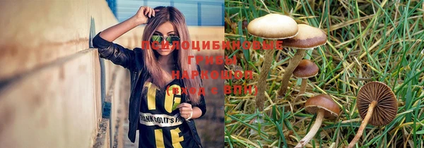 прущий лед Абаза