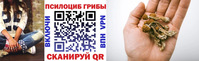 Псилоцибиновые грибы прущие грибы  Новосиль 