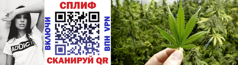 купить наркоту  Новосиль  Бошки марихуана THC 21% 